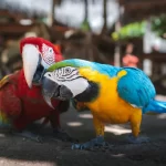 The Ultimate Tarapoto Experience: 6 Days of Waterfalls, Lagoons & Amazon Culture