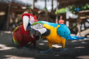 The Ultimate Tarapoto Experience: 6 Days of Waterfalls, Lagoons & Amazon Culture