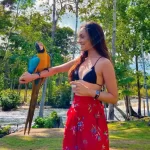 Tarapoto Amazon Escape: Blue Lagoon & Lamas Native Culture 2 Days